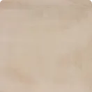 Arena PP